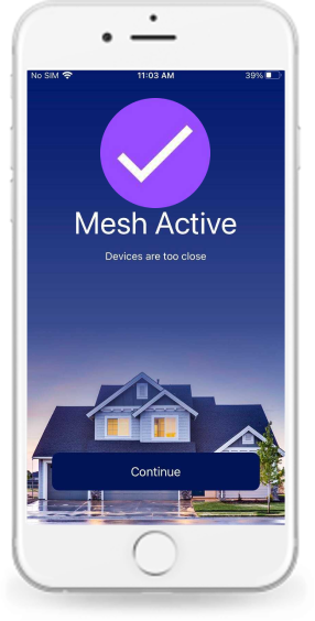 Mesh is setup