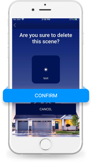 Confirm scene deletion