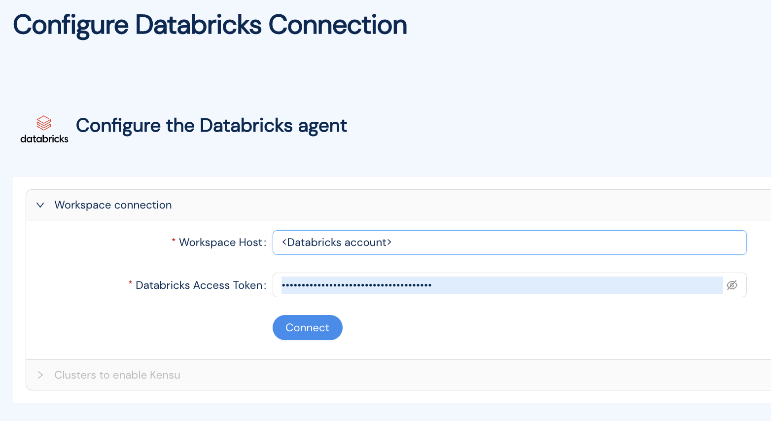 Enter Databricks Connection Info
